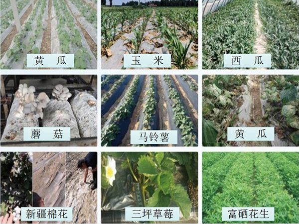 生物基降解地膜